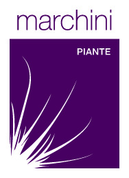Marchini Piante